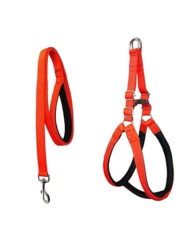 Adjustable Padded Customized Soft Breathable No Pull Choke Free Eco Friendly Dog Chest Body Belt Harness with Long Leash Belt for Outdoor Training (Large, Red)