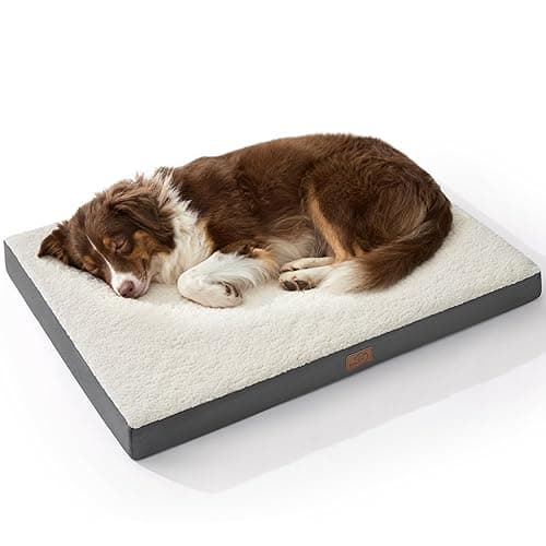 Bedsure Large Dog Bed for Small, Medium, Large Dogs Up to 75 lbs - Orthopedic Egg-Crate Foam with Removable Washable Cover - Water-Resistant Chew-Resistant Pet Mat for Crate, Grey