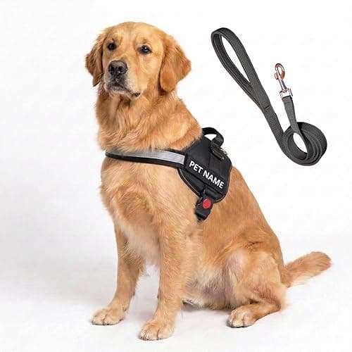 Customized Dog Harness and Leash with Name | Comfortable and Adjustable Puppy Harness for 5-13 Kilograms Dogs (S, Black)