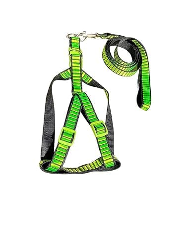Dog Trust Dog harnessfor Medium Breeds Comfortable adjustble (Chest Belt Lead Red Color - 1 Inch) Pack of 1 (Green)