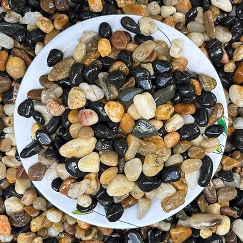 Foodie Puppies Natural Decorative Polished Stone (900gm, 1.5cm - 3.5cm) | Mix River Stones Perfect for Aquarium, Fish Tank, Fish Bowl, Fireplace, Vase Filler, Plants Pot, Turtle Tank and Terrarium
