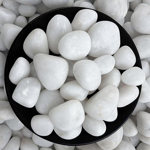 Foodie Puppies Polished White Pebbles Glossy Stones - 2Kg (2.5cm - 4cm) | for Home Decorative, Vase Fillers, Aquarium Fish Tank, Garden River Rock Unplanted Substrate