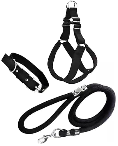 No Pull Dog Harness - Step in Dog Harness and Leash for Small Medium Large Dog - Escape Proof Adjustable Soft Leash Collar Set for Walking Training Hiking Outdoor, 15 Cm, 15 Cm