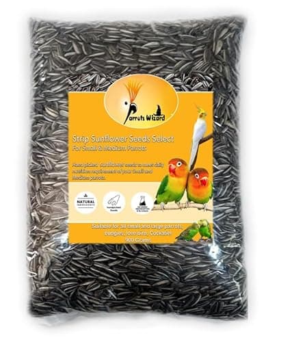 Parrots Wizard All Life Stages Dry Bird Food Small Size Sunflower Seeds for Bird 900 Grams