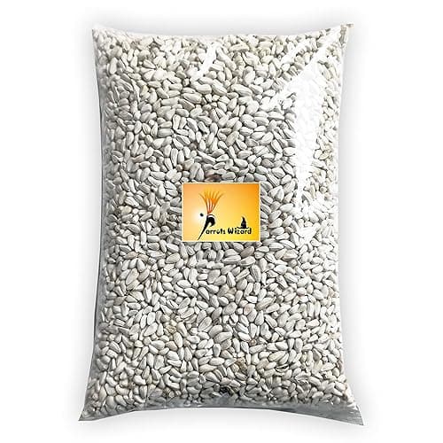 Parrots wizard Safflower Seeds Kusum beej for Wild Birds 900 Gram