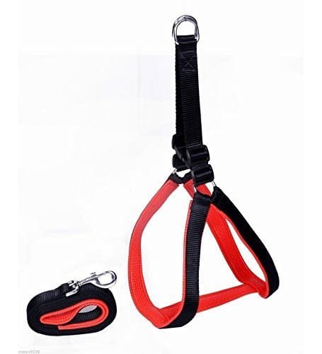 Paws for a Cause Soft Padded Body Set-Leash & Harness- Black - Small