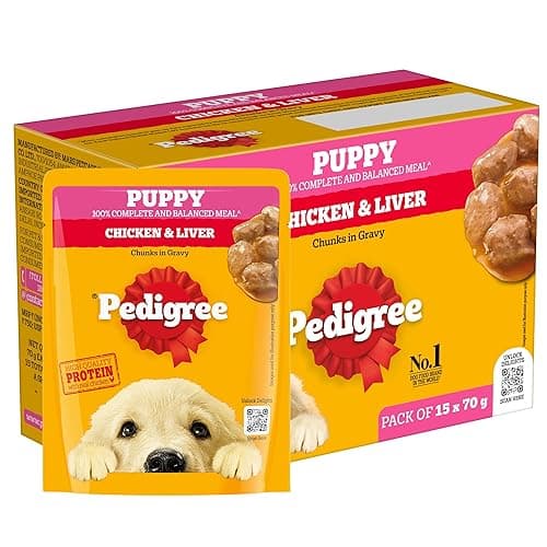 Pedigree Puppy Wet Dog Food, Chicken Chunks in Gravy, 70 g (Pack of 15), Complete & Balanced Meal for Puppies