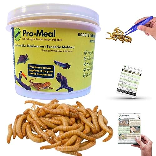 Promeal Larvae Live Mealworms - High Protein Treat Food for Aquarium Fishes Like Flowerhorn, Arowana, and Birds, Reptiles, Monkeys and Other Pets of All Life Stages (100 Larvae)