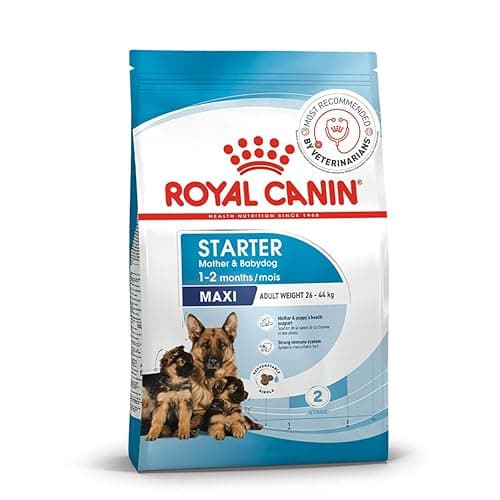 Royal Canin Maxi Starter, Mother & Babydog Food, 4 Kg, Dry Food, Supports Complex Natural Defence & digestive health, Provides Gestation/Lactation Support, Supports Easy rehydration