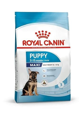 Royal Canin Powder Royalcaninmaxipuppy,10 kg (Pack of 1)