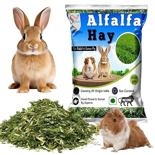 Sage Square Alfalfa Hay - Protein, Calcium-Rich Hay for Rabbits, Guinea Pigs, Hamsters & Small Animals | Supports Growth, Healthy Teeth, Digestion | Sun-Dried, Hand-Selected Alfalfa Feed | 400 gm