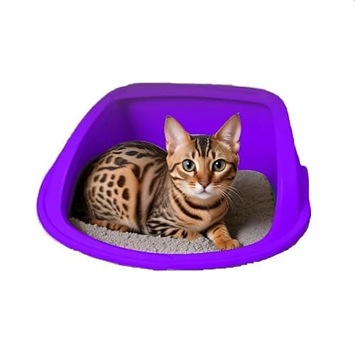 Set Pet Activated Cat Litter, Lavender - 15KG Bentonite Clay Cat Essentials Natural, Low Dust Quick-Clumping, Scoopable Odour Locking with Lavender Fragrance Hygiene for Cats