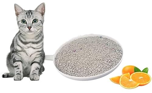 Set Pet Activated Cat Litter, Orange - 15KG Bentonite Clay Cat Essentials Natural, Low Dust Quick-Clumping, Scoopable Odour Locking with Lavender Fragrance Hygiene for Cats
