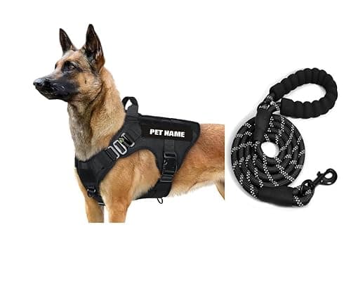 Tactical Premium Customized Dog Vest Harness with Leash Set,Pet Name, Personalized Dog Belt with Dog Name, No Pull Harness, for Training, Walking. (Large)