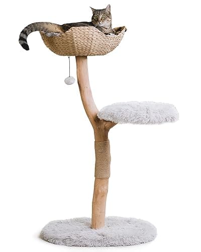 Wooden Cat Tree Tower, Modern Single Branch Cat Condo, Wood Cat Tree, Cat Climbing, Furniture for Cat, Cat Lover Gift, Cat Furniture,Cat Gift by MAU LIFESTYLE (Bullet Gray)