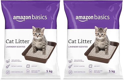 Amazon Basics Scoopable Smart White Bentonite Cat Litter | Lavender Fragrance | Scented Cat Litter | 5Kg - Pack of 2