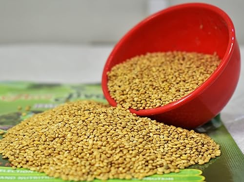 Amijivdaya Yellow Millet Bird Food for Small Birds (5kg)