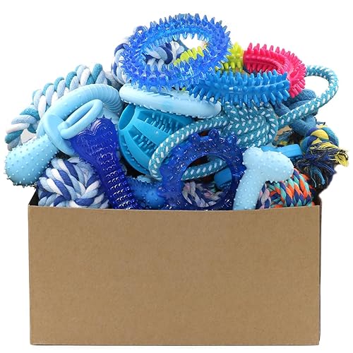 Beiker 20 Pack Puppy Chew Toys - Blue Dog Teething Toys for Puppies, Puppy Teething Rings and Ropes, Rubber Toy Bundle for Small Dogs, Cute Interactive Dog Balls for Small Breed