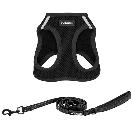 Best Pet Supplies Voyager Step-in Air All Weather Mesh Harness and Reflective Dog 5 ft Leash Combo with Neoprene Handle, for Small, Medium and Large Breed Puppies - Black, XL