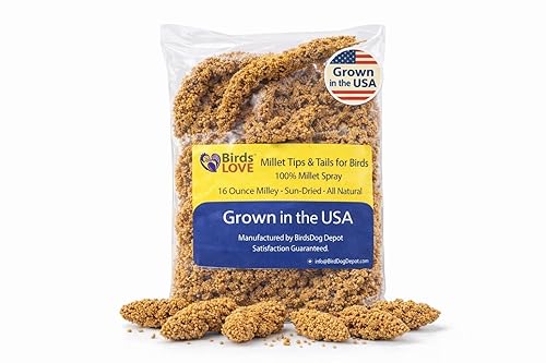 Birds LOVE® Millet Tips & Tails for Birds – Premium Spray Millet Treat, Grown in the USA – Natural & Healthy Bird Food for Parakeets, Cockatiels, Budgies, Lovebirds, Finches, Canaries & Parrots – 1 lb