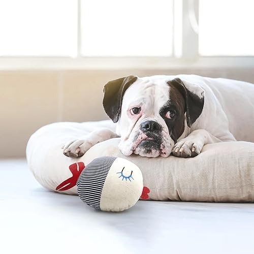 Bobber The Fish โ Squeaky Plush Toy for Dogs, Puppies & Cats โ Safe & Non-Toxic