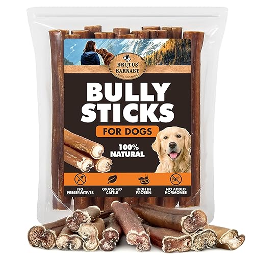 BRUTUS & BARNABY 6 Inch Bully Sticks for Dogs (12 Count) – Thick Grass-Fed Beef Pizzle Sticks, Odor Free Natural Dog Chews, Rawhide Free, Long Lasting for Small, Medium & Large Aggressive Chewers