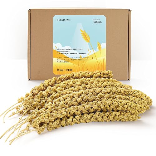 BUCATSTATE Spray Millet for Birds, Sun-Dried Healthy Millet Parakeet Treats for Parrots Cockatiel Lovebird Finch, GMO-Free Parakeet Food - 1.1lb