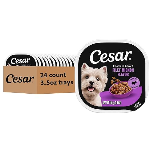Cesar Filets in Gravy Adult Wet Dog Food Filet Mignon Flavor, 3.5 oz. Easy Peel Dog Food Tray, 24 Count (Pack of 1)