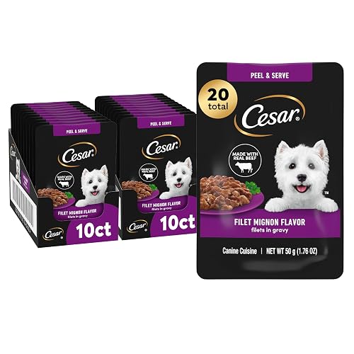 Cesar Filets in Gravy Wet Dog Food, Filet Mignon Flavor, Wet Food for Dogs, 1.76 oz. Mini-Pouches, 20 Count
