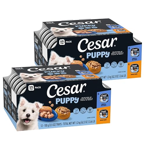 Cesar Puppy Classic Loaf in Sauce and Filets in Gravy Wet Dog Food Variety Pack, Chicken & Beef and Chicken Recipes, 3.5 oz. Easy Peel Trays, Dog Food Toppers, 12 Count (Pack of 2)