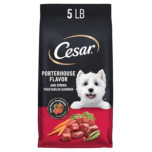 Cesar Small Breed Dry Dog Food for Small Dogs, Porterhouse Flavor and Spring Vegetables Garnish, 5 lb Bag