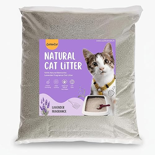 CottonCat Lavender Cat Litter β Premium Bentonite Clumping Litter for Cats | Long-Lasting Odor Control, Dust-Free, Fast Clumping, Easy to Scoop, Gentle Lavender Scent (16 KG)