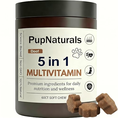 Dog Allergy Chews, Multivitamin Itch Relief Chews for Dog, with Salmon Oil, Chondroitin & Natural Vitamins, Skin and Coat Healthy, Digestive & Boost Immunity, 60 Soft Chews (Beef)