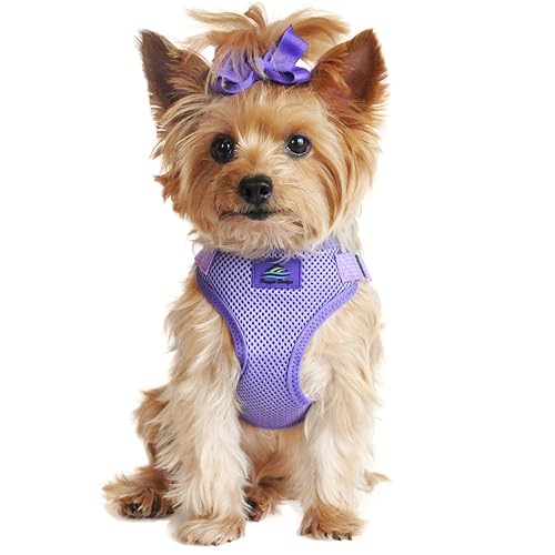 Doggie Design Dog Harness - No Choke Dog Harness, Dog Vest, Mesh Polyester, Pet Harness, Simple Step in and Go Design, Harness for Dog - Paisley Purple - M