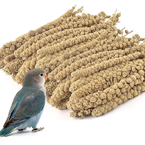 ERKOON 2.5LB Spray Millet Treat, All Natural Sun-Dried Healthy Treat Parrot Food Bird Snack for Parakeets, Lovebirds, Cockatiels, Finches, Budgies, Canaries Hamster, Bird Food Bulk