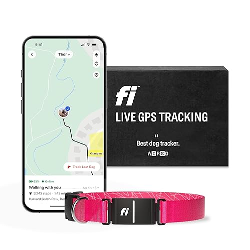 Fi