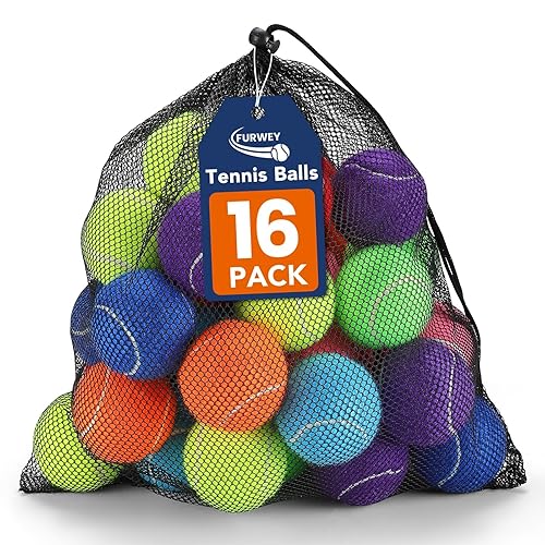 FURWEY Tennis Balls for Dogs 16 Pack,2.5 inches,Durable and Non-Toxic Dog Toys Balls with Mesh Bag,Colorful Fetch Toys Balls for pet Dog (Non Squeaky)