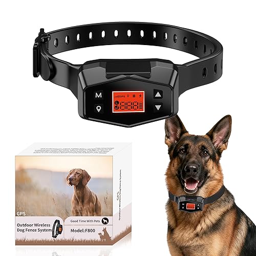 GPS Wireless Dog Fence System, Electric Dog Fence with 6-Level Adjustable Training, 33-999yd Outdoor Containment, IPX7 Waterproof Rechargeable Collar for Medium & Large Dogs