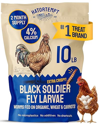 Hatortempt 10lbs Black Soldier Fly Larvae for Chickens - 114X More Calcium Than Mealworms for Chickens - High Protein Worms - Feed Treats for Laying Hens, Quails and Ducks