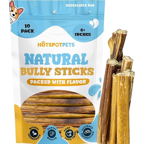 hotspot pets Bully Sticks 6 Inch- 10 Pack- Premium Natural Long Lasting Bully Sticks for Medium Dogs Beef Pizzle Treats - Low Odor, Grain Free Fully Digestible Rawhide Alternative Stix