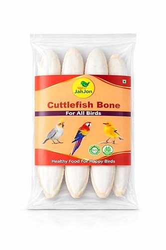 JAHJON Cuttlefish Bone for Birds, Bird food-150 GM | Natural Calcium Supplement for Parrot, Pigeon, Parakeet, Macaws, Cockatoos, Cockatiels, Lovebirds and Budgies,etc. Size : 4-8 Inches