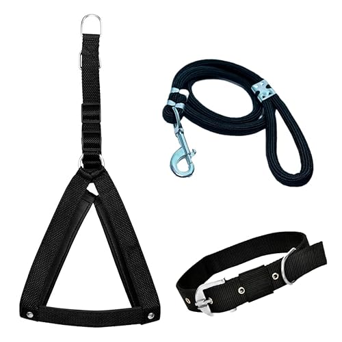 JAPIN Merchandise Dog Export Quality Combo Nylon Easy to Control Buckle Dog Harness Everyday Neck Collar Belt and Hand Weaved Durable Training Rope Leash Set (Large)