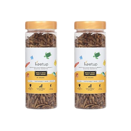 KEETUP Dried Black Soldier Fly Larvae Treat Fish Food (55 Gram) For Arowana Oscar, Flowerhorn & Other Carnivorous Fishes Omega 3 & 6, 50X More Calcium Than Worms Pack Of 2, All Life Stages