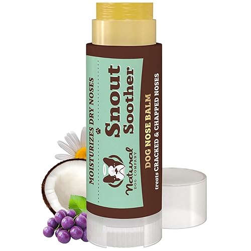 Natural Dog Company Snout Soother Dog Nose Balm, 0.15 oz Travel Stick | Moisturizer for Dry Crusty Noses, Coconut Oil & Shea Butter, Summer Care for Outdoor Dogs, Hot Weather & Beach Days