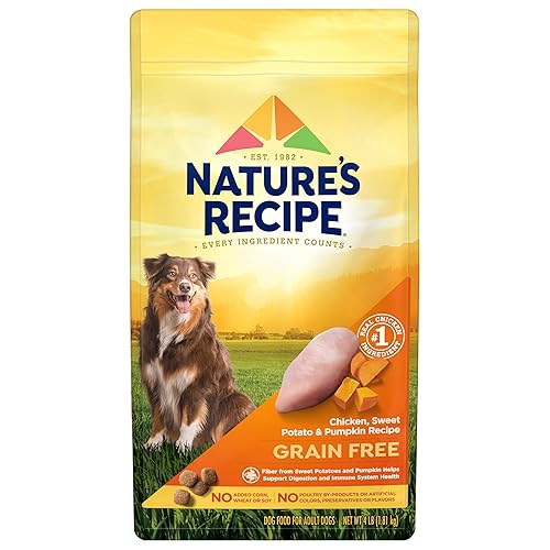 Nature's Recipe Grain Free Chicken, Sweet Potato & Pumpkin Recipe Dry Dog Food, 4 lb. Bag