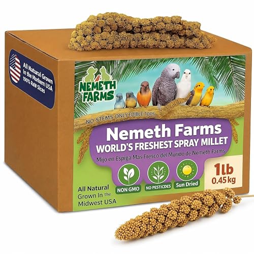 Nemeth Farms Spray Millet - Edible Tops Only, Non-GMO and Sun-Dried - 1 lb for Parakeets, Canaries and Finches