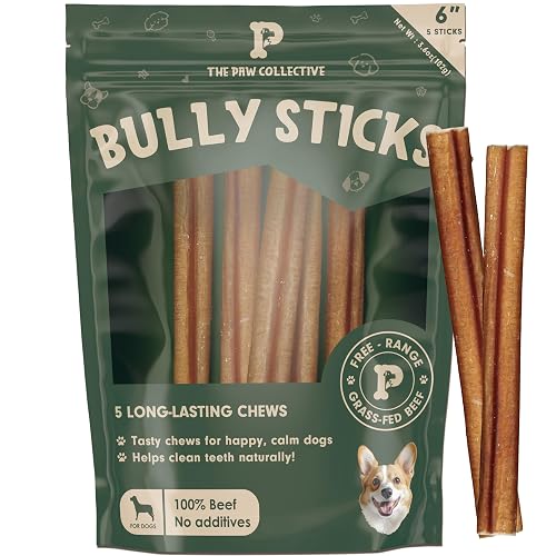 Odor Free Bully Stick Dog Treats - Long Lasting Chew Sticks - Free Range Grass Fed Beef Natural Dental Chew Treat - 6" inch, 5 Pack