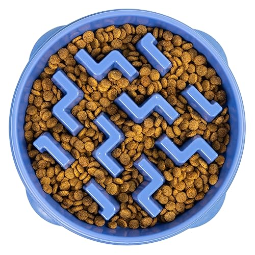 Outward Hound Fun Feeder Slo Bowl – Large 4‑Cup Capacity, Slow Feeding, Medium to Large Dogs, Non‑Slip, Blue, Notch Pattern