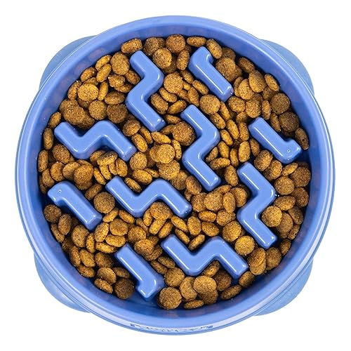 Outward Hound Fun Feeder Slo Bowl – Medium 2‑Cup Capacity, Slow Feeding, Small to Medium Dogs & Cats, Non-Slip, Blue, Notch Pattern