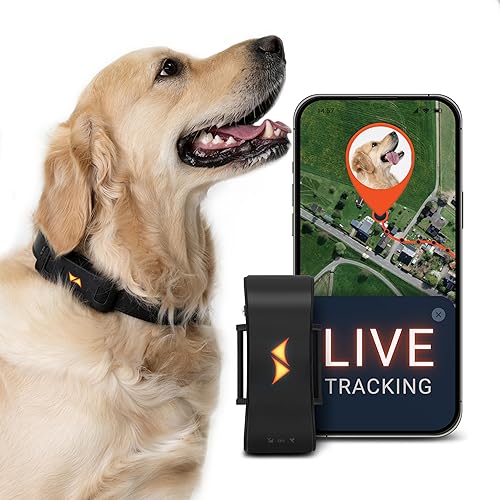 PAJ GPS Tracker for Dogs with 3 Month Subscription Included, 4G Real-Time Dog GPS Tracker with Virtual Fence, Activity & Health Monitor, Up to 10 Days Battery, Fits Any Pet Collar